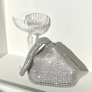 Delawear Silver Bag